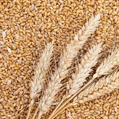 Small Flour Mill Machine - Grinder Mill Machine(images 10)