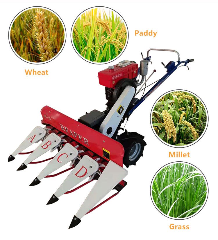 Why You Should Buy a Wheat Rice Reaper Machine - Feed Processing Machine（images 2）