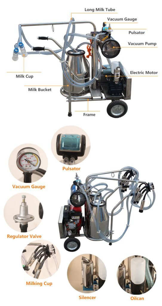 Why Small Dairy Farms Need Milking Machines - Milking Machine（images 2）