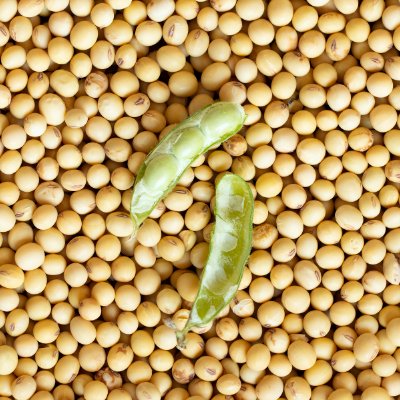 Small Flour Mill Machine - Grinder Mill Machine(images 12)