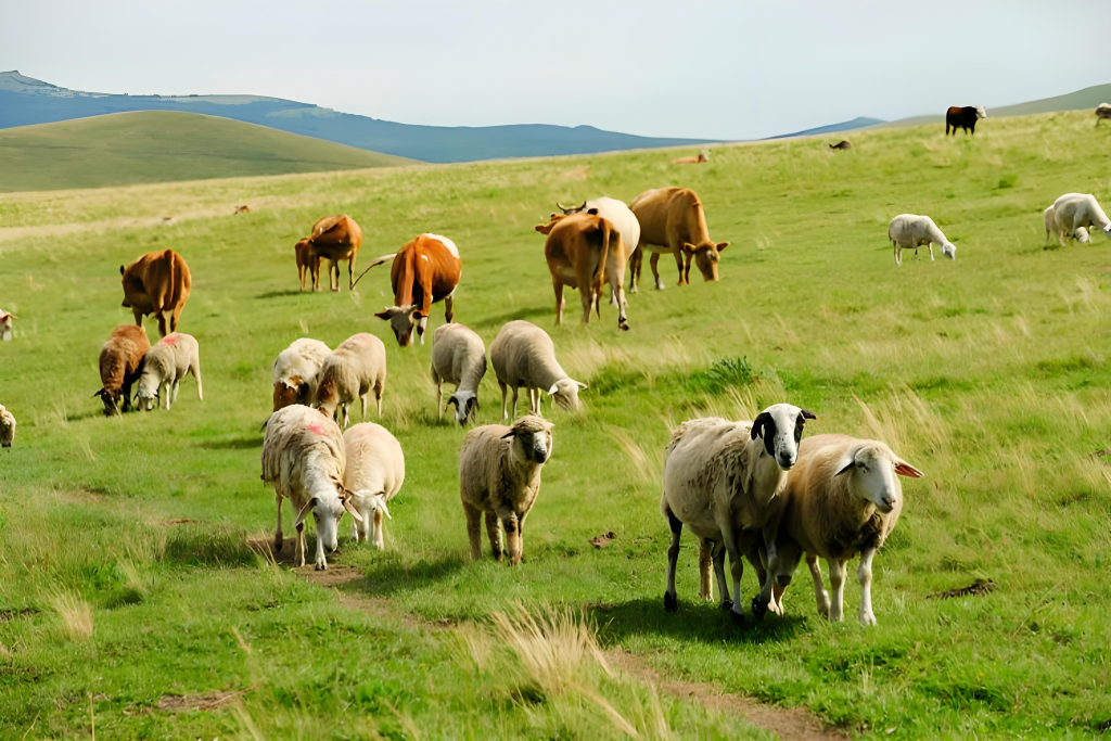 Why The Hammer Mill Could Not Crush Fine ? - Hammer Mill Machine（images 4）