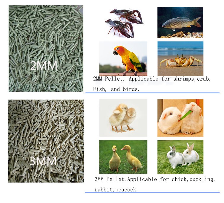 50 Sets of Feed Pellet Machine Were Packed and Shipped to Zimbabwe - Feed Processing Machine（images 3）