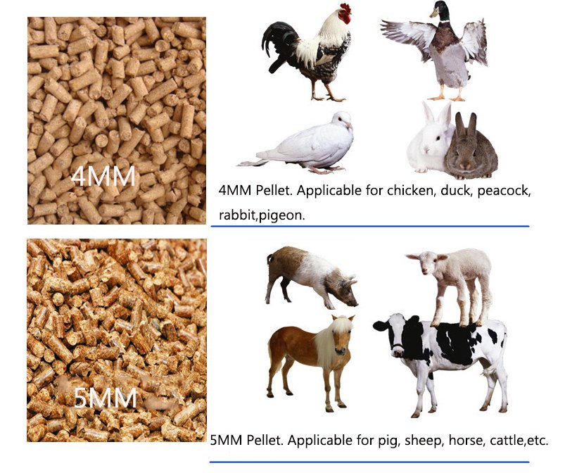 50 Sets of Feed Pellet Machine Were Packed and Shipped to Zimbabwe - Agricultural Machinery（images 4）